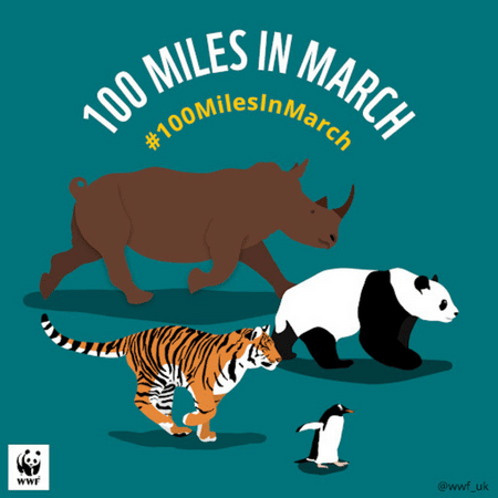 Case Study Image - WWF UK